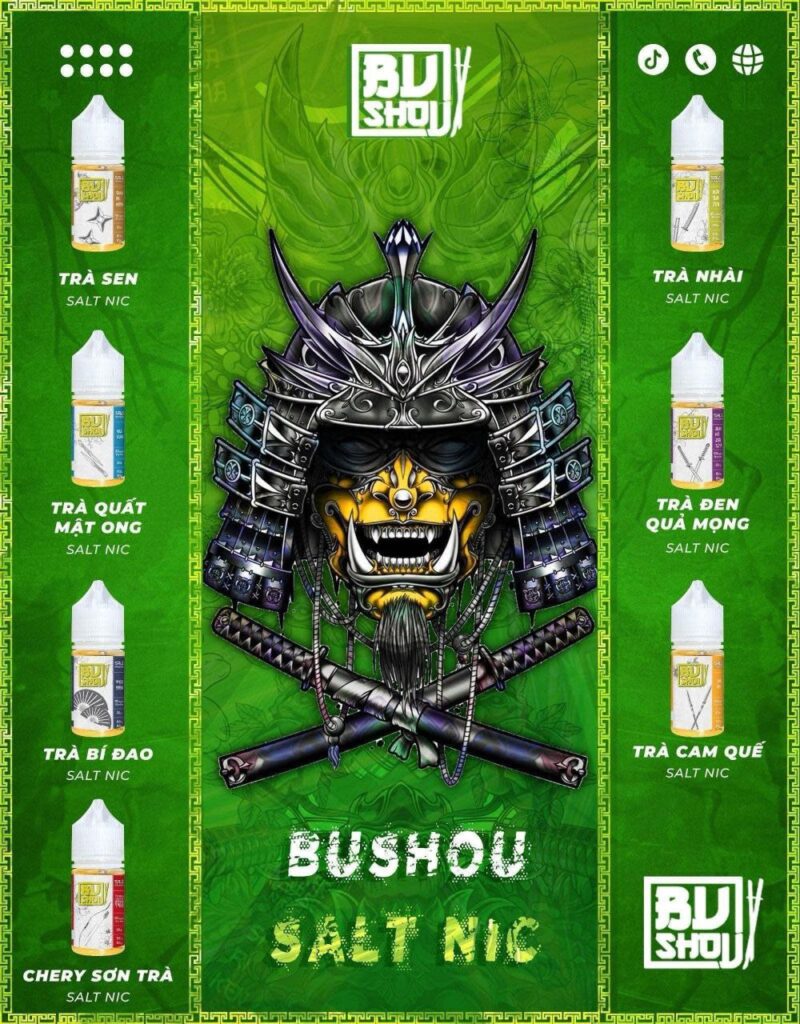Bushou Saltnic 60MG